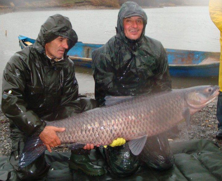 diverse - 671291513551049122992256986n.jpg